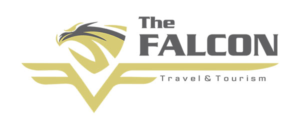 Falcon Travel LLC